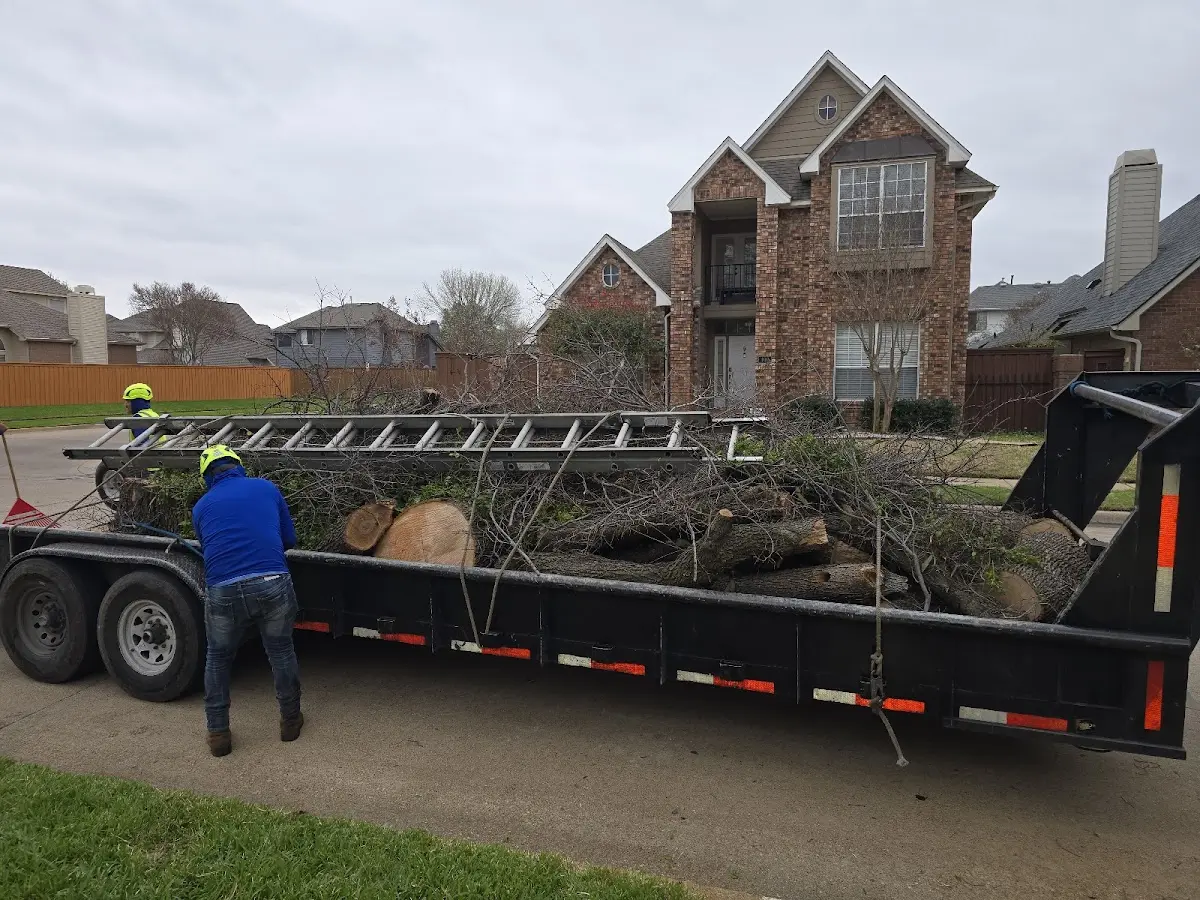 Expert Tree Removal with proper safety equipment in Galesville